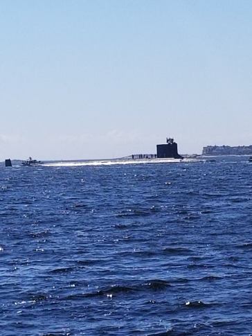 42287184_2166513143607709_3343940354163343360_n