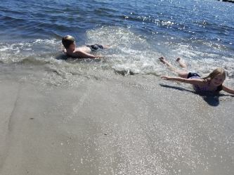 42408247_1110617169107621_8505182955830771712_n