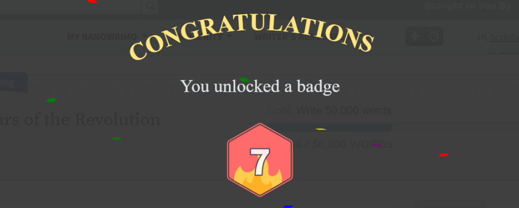 How I do NaNoWriMo: One woman’s reflection of the process.